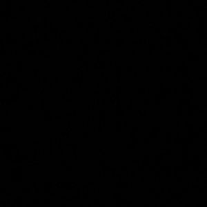 Meet your Posher, Brenna